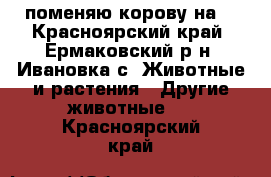 поменяю корову на  - Красноярский край, Ермаковский р-н, Ивановка с. Животные и растения » Другие животные   . Красноярский край